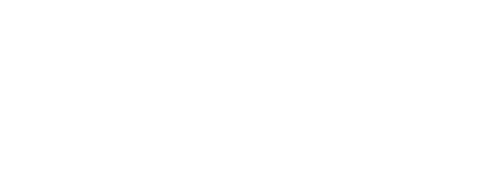 Paragon Micro,Cisco,