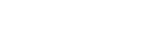 Paragon Micro,Motorolla,